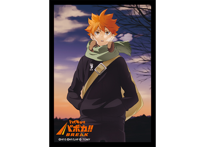 ハイキュー　日向翔陽　SRパラレル⭐︎2 傷アリ ハイキュー 日向翔陽 SRパラレル⭐︎2 傷アリ SR☆ 赤葦 京治(