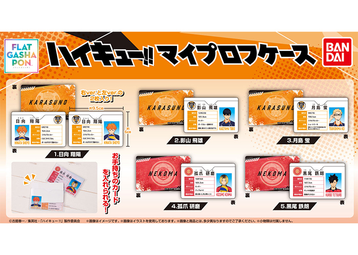 ハイキュー!! マイプロフケース