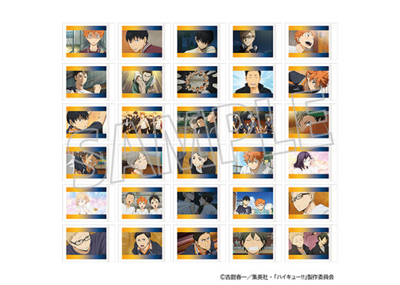 ぱしゃこれ/烏野高校
